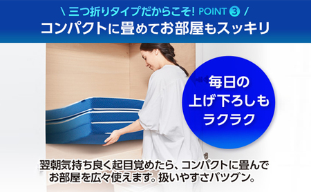 トゥルースリーパープレミアリッチ 三つ折りタイプ（ダブル） 寝具 マットレス