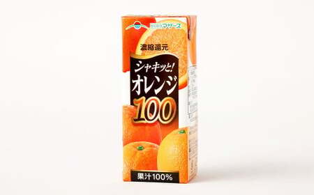 オレンジ100 200ml×12本 合計2400ml 厳選 みかん 果汁 100% 濃縮還元 ミカン オレンジ ジュース みかんジュース 常温 飲料 熊本県 らくのうマザーズ