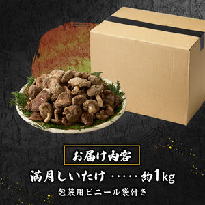 『満月しいたけ』菌床乾燥しいたけ　1kg 厳選 高級 椎茸 きのこ 肉厚 ジューシー 新鮮 農薬不使用 有機椎茸 山梨県産 北杜市産 [h122]