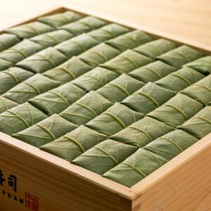 柿の葉寿司 さば・さけ 50個入【二段詰】株式会社中谷本舗 ゐざさ 33-007