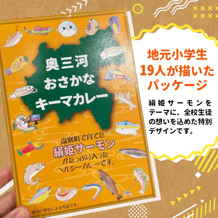 絹姫サーモン奥三河おさかなキーマカレー　6個セット  レトルトカレー カレー 魚カレー -009