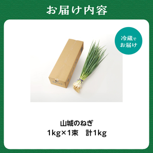 山城のねぎ 1kg 野菜 長ネギ 京野菜 001-12