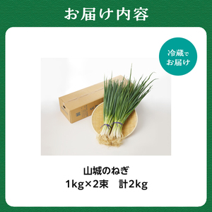 山城のねぎ 2kg 長ねぎ 京野菜 001-13 野菜
