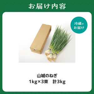 山城のねぎ 3kg 野菜ねぎ ネギ 長ネギ 京野菜 001-14