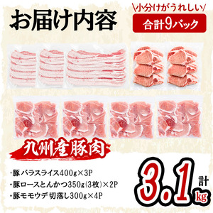 小分け・真空パック!九州産豚肉3種(計3.1kg) 小分け 真空パック 豚肉 豚 ロース バラ モモ ウデ バラエティ セット とんかつ とんてき 野菜炒め a5-319