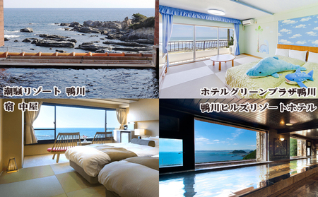 【千葉県鴨川市】市内宿泊施設『共通宿泊券』３千円相当　[0010-0352]