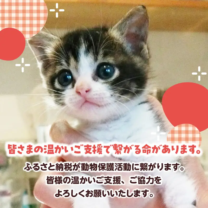 【動物愛護ボランティア】浜中町「ポラリス☆はまなか」を支援　4000円分 返礼品なし_H0048-004