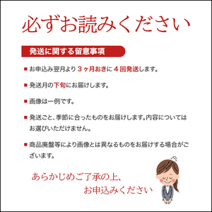 SE0410　【4回定期便】花王バブ アソート　3箱×4回(計12箱) 