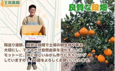  不知火 旨時 体に優しい玉ちゃん しらぬい 約 5kg / デコポン 訳あり 家庭用 高級 甘い 和歌山 有田 柑橘 ※3月上旬～4月に順次発送予定 【tmd010-p-5】