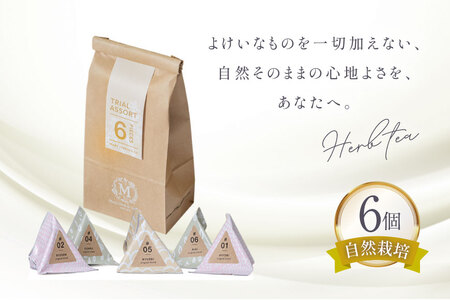 ハーブティー バラエティーパック 6個入り [Mary Jimenez 石川県 志賀町 CK3063]