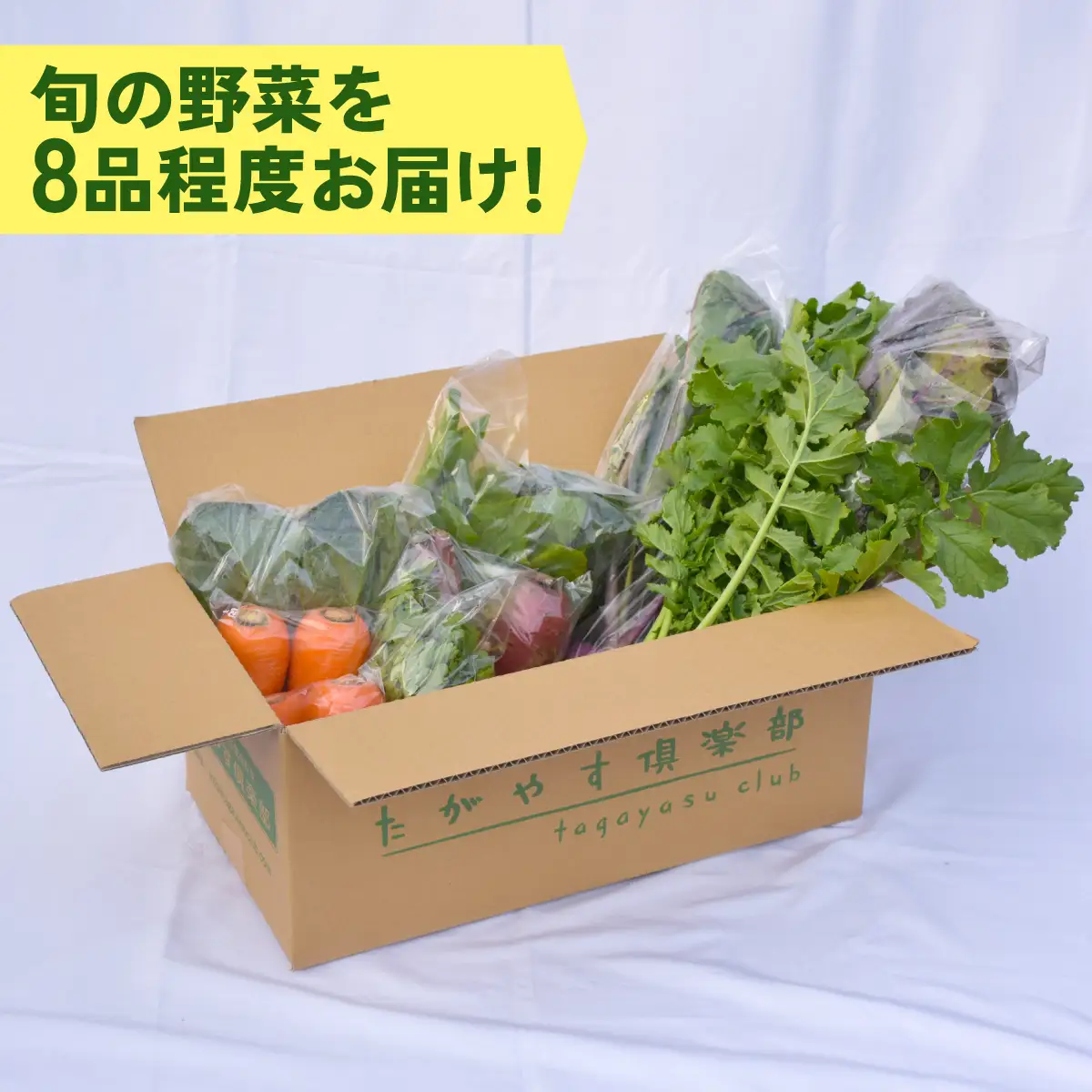 有機農業の第一人者 たがやす倶楽部 齊藤 完一さんの「季節の野菜セット」　ふるさと納税 野菜 やさい 季節 詰合せ セット たがやす農法 安心 美味しい 甘味 千葉県 山武市 SMCL001