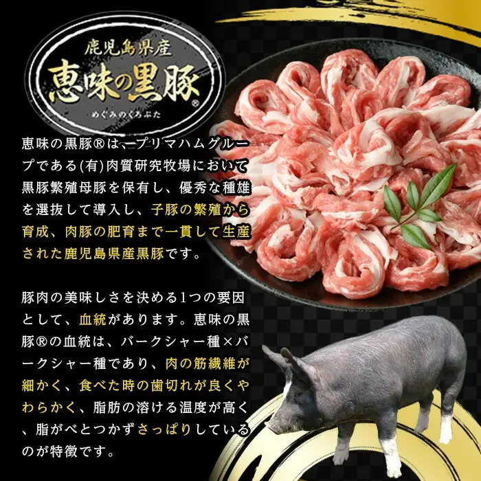 ☆大容量☆恵味の黒豚 4種 計2.8kg超え 焼肉＋切落しセット 冷凍 小分け 鹿児島県産【00-110-05】