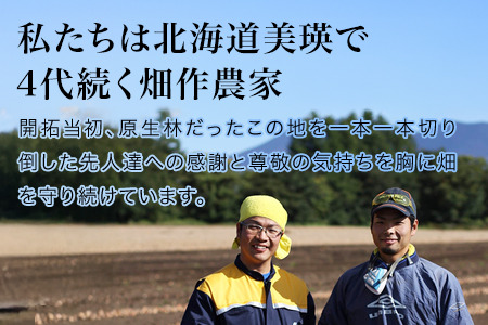 【令和8年産予約受付】玉ねぎ 5kg 北海道産玉ねぎ 本山農場