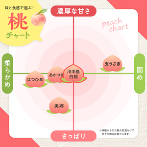 ＜先行予約＞ 福島県産 甘くてジューシー 桃 川中島 白桃 2kg（7玉～10玉）モモ フルーツ 果物 福島県 鏡石町  F6Q-355