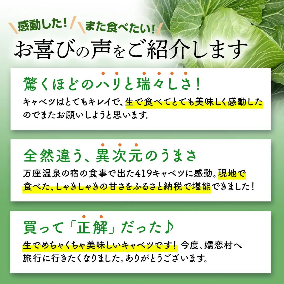 ＜レビューキャンペーン開催中＞【7月中旬発送開始】 訳あり まぼろしの419キャベツ 2玉 きゃべつ 嬬恋村産キャベツ 羽生田売店 幻のキャベツ419 産地直送 期間限定 人気 朝採り 通販 お取り寄せ 関東 群馬 出荷時期限定 先行予約 [AL014tu] 
