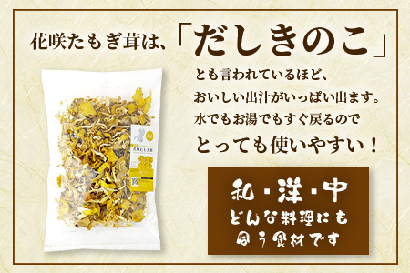 無農薬栽培【花咲 たもぎ茸 (乾燥) 100g 】幻 キノコ タモギダケ ヒラタケ 健康 栄養豊富 出汁 だし エルゴチオネイン タモギ茸 たもぎだけ  115-0606