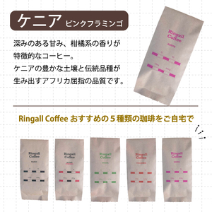 【 自家焙煎　コーヒー粉500g（100g×5種）】飲み比べセット 珈琲 ブレンド 194006