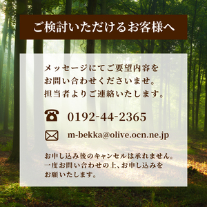 【節有りスタンダード オプション付き】 プライベート サウナ 節あり 鹿の角 雨よけ サウナ小屋 ヒノキ ロウリュ 銭湯 リフレッシュ 健康 美容 ロウリュウ 薪 木材 ひさし 節有り ストーン 岩手県 三陸 気仙 大船渡