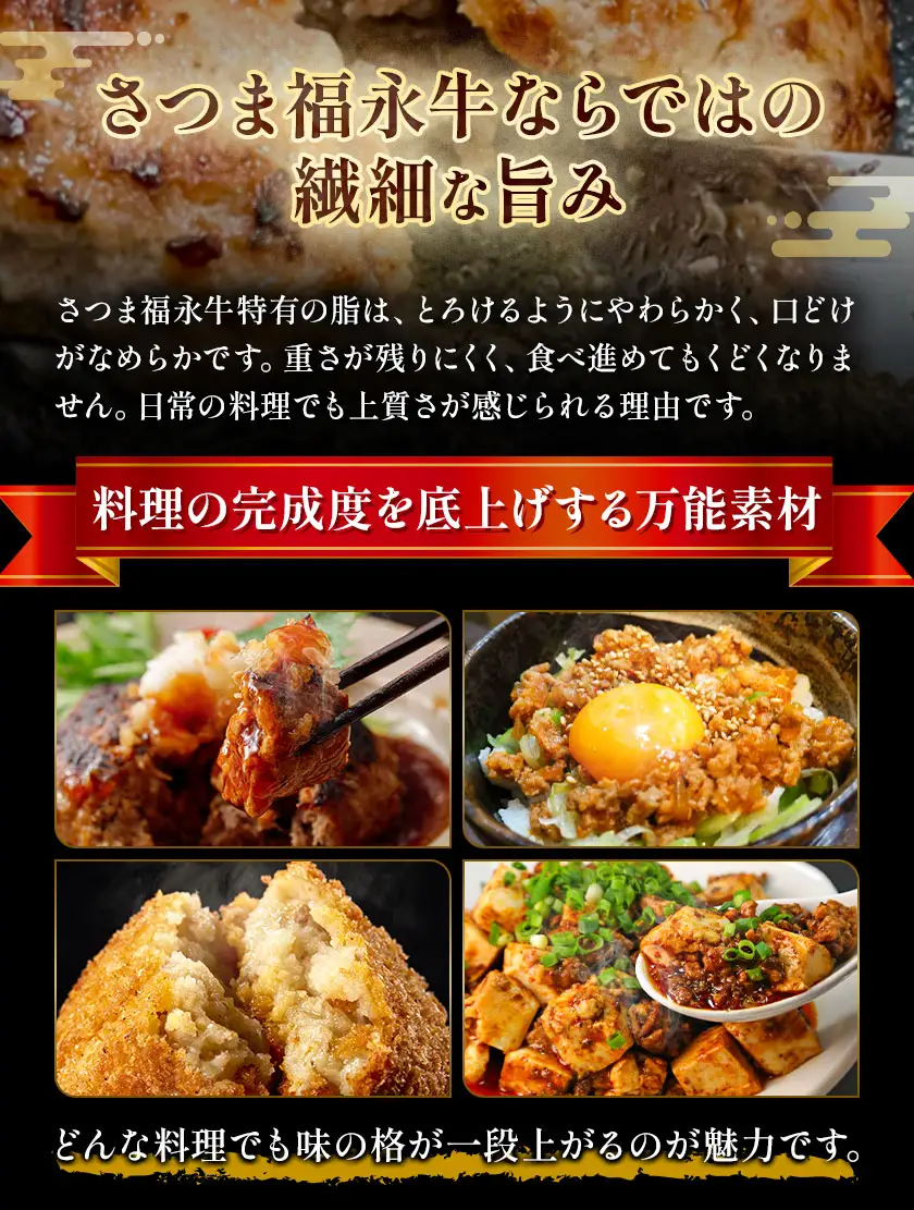 さつま福永牛 ミンチ肉 粗挽き 250g×2パック 福永畜産《30日以内に出荷予定(土日祝除く)》 鹿児島県 さつま町 和牛 福永牛 ミンチ 粗挽き 肉 国産