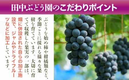 しっとり柿チップス 60g×5袋 ｜国産 ドライフルーツ 無添加 人気 おすすめ