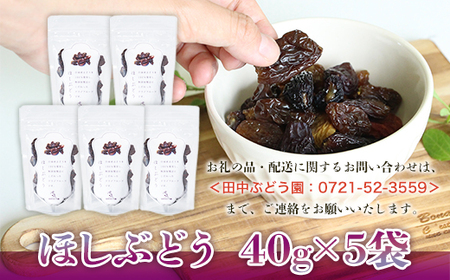 ほしぶどう 40g×5袋 国産 ドライフルーツ 無添加 複数品種 希少 レア 小分け 干し葡萄 干しぶどう 干しブドウ 保存食 備蓄食 常備食 食物繊維 鉄分 ほしぶどう 防災食品 ポリフェノール レーズン 製菓 製パン グラノーラ おやつ おつまみ