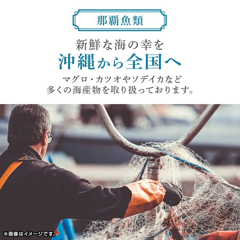 ネギトロ 業務用 600g(200g×3P) 訳あり 簡易包装 マグロ まぐろ 鮪 まぐろたたき 寿司 キハダマグロ 123-3