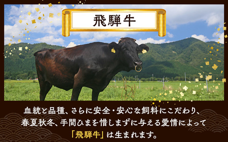 飛騨牛赤身ステーキ（5人前）  ｜国産 和牛 牛肉