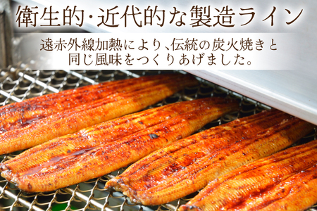 うなぎ 蒲焼き 国産 雌うなぎ 約120g 3尾 計約360g [マルニうなぎ加工 静岡県 吉田町 22424459]
