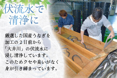 うなぎ 国産 蒲焼 定期便 145g前後 2尾 3回 総計6尾 真空パック タレ 山椒 付き 冷凍 [マルニうなぎ加工 静岡県 吉田町 22424474]