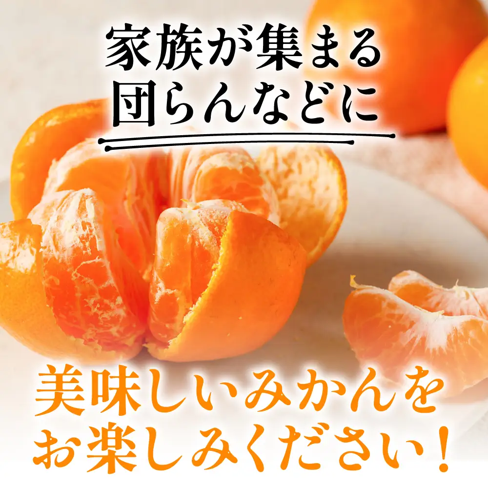 【先行予約】 みかん 八代市東陽産山本さん家の「熊本EC11みかん」 約5kg みかん 柑橘 【2026年11月上旬より順次発送】