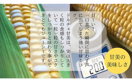 【 先行予約 】リピーター続出！ とうもろこし 【 ドルチェ甘美 】約5kg 8～10本 トウモロコシ 甘い 野菜 採れたて 朝採り 農家直送 袋井市 静岡県