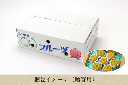 【2026年先行予約】しらい農園の和梨 幸水 秀品3kg（5～9玉） 《8月下旬～順次発送》
