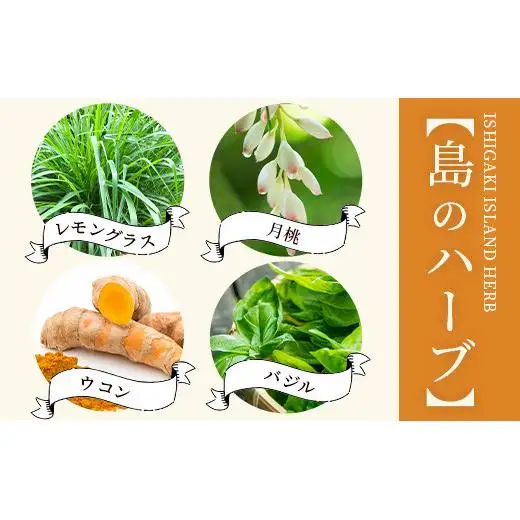 調味料セット チャンプルの素25g＋ハーブ楽塩23g＋ドラゴンペッパー15g　瓶入×3本　PN-4