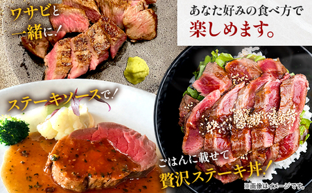  【A4～A5】くまもと黒毛和牛 ヒレステーキ 450g (150g×3枚) 《30日以内に出荷予定(土日祝除く)》 牛肉 くまもと黒毛和牛 黒毛和牛 冷凍庫 Esprit