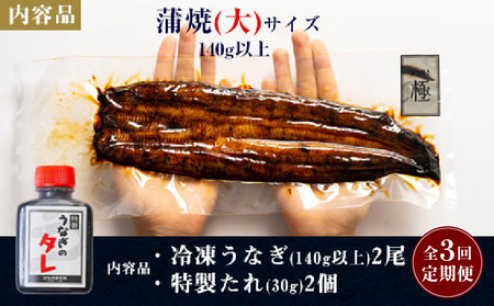【期間限定】【定期便】三河一色産うなぎ蒲焼大2尾(計280g以上)×3回・R012-48