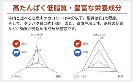 森のジビエ 鹿ミンチ肉1.5kg(500g×3) A-JJ-A17A
