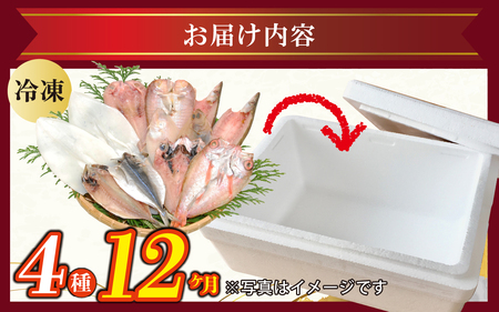 【12ヶ月連続お届け】季節の干物おまかせ4種セット｜ひもの セット 冷凍