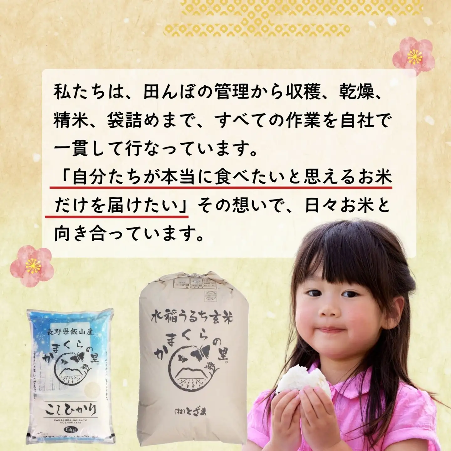 【令和8年新米予約】コシヒカリ 10kg 特別栽培米 「かまくらの里 コシヒカリ」_Cc-002