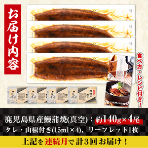 i1083-A ＜定期便・計3回(連続月)＞鹿児島県産うなぎ蒲焼4尾セット＜(約140g×4・計約560g)×全3回＞ うなぎ 鰻 ウナギ 4尾 蒲焼き 国産 鹿児島県産 焼きたて 生産量日本一 真空パック おかず 晩御飯 特別な日 土用の丑の日 丑の日 定期便 【薩摩川内鰻】