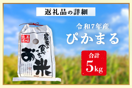 【 令和7年産米】多良木町産 ぴかまる 5kg （ 令和7年10月下旬より順次発送 ）農家が食べる お米 5キロ 甘み 米 美味しい米 米 白米 精米 熊本 065-0640