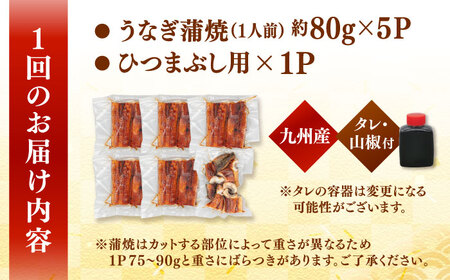 【全12回定期便】うなぎの蒲焼 約80g×5Pとひつまぶしの贅沢セット 桂川町/山水商事 [ADAH028] うなぎカット 刻み ひつまぶし