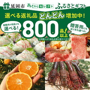 あとからセレクト60万円 N0159-YL002