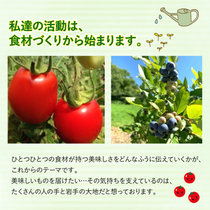 ドレッシング豆３種類セット（プラスチック袋入り）【雫石創作農園】/ 味付き 味付き豆 ビーンズ 豆