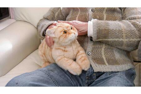 川崎市のロボットメーカーが作る、シニア向けペットの代理ロボット！なでなでねこちゃんEXシリーズ　（とら）