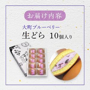 老舗和菓子屋の自信作！大町ブルーベリー生どら10個入り  老舗 和菓子 どら焼き  長野県 大町市