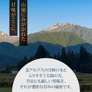 農家の手作り！果汁100%リンゴジュース（200ml×30本) | りんご ジュース 長野 信州