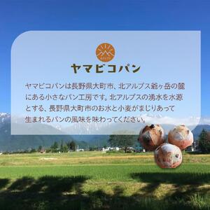自家製酵母おたのしみパンセット80サイズ(10個前後) | パン 長野 信州