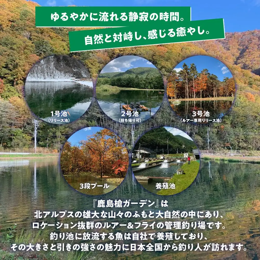 鹿島槍ガーデン釣りチケット引換券　大人男性1日券（1名様分） | つり アウトドア 長野 大町