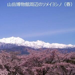 【大町温泉 北アルプス 立山 黒部/大町市】JTBふるさと旅行券（900,000円分）有効期間5年 | 予約 宿泊 観光 体験 温泉 ホテル 旅館 チケット 子供 子連れ カップル 家族 店頭 電話 大町