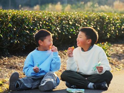 15-6 川根の丸干しいも（5袋）